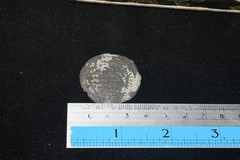 Genuine Ancient Islamic Dirham Dinar Silver Coin