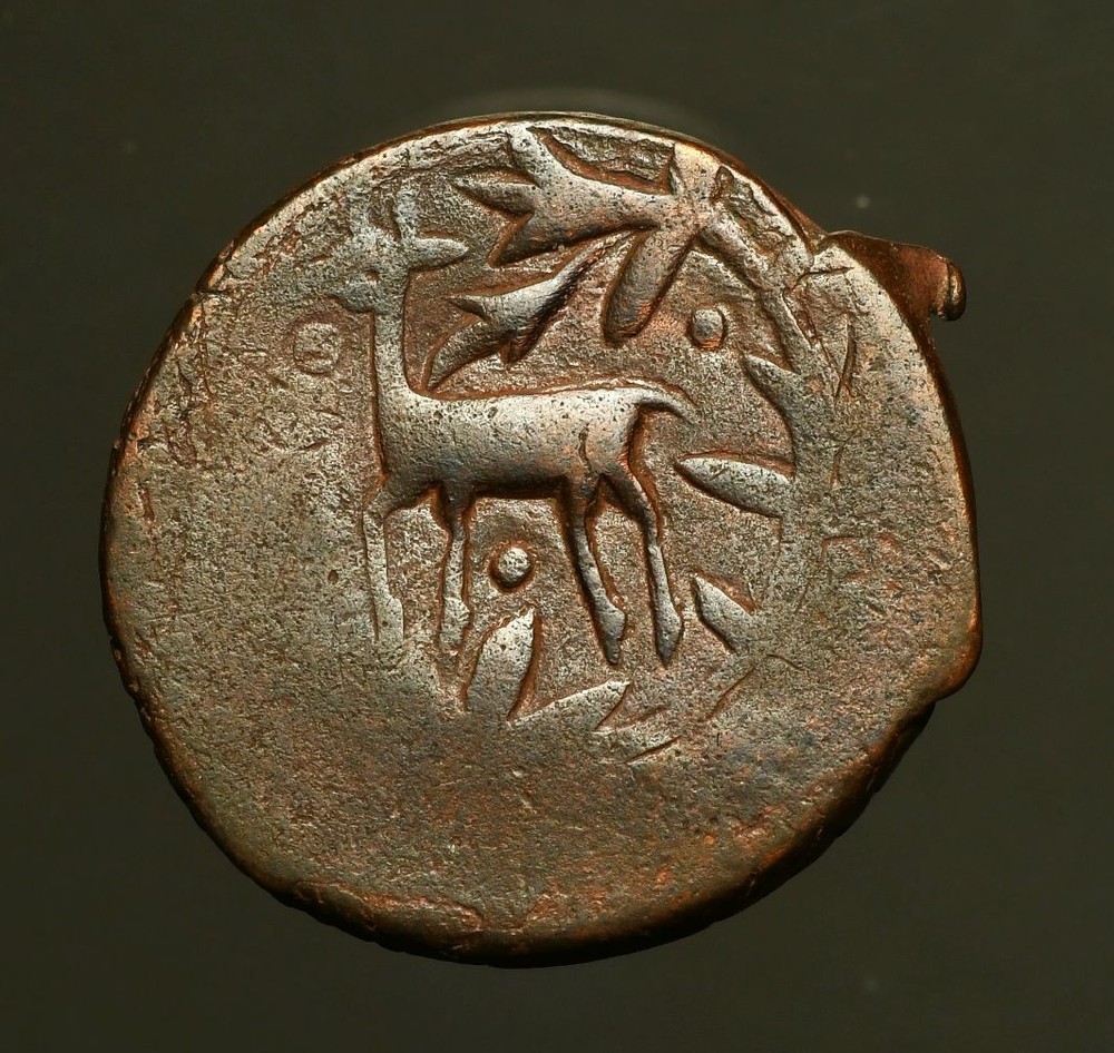 IS12-43 Amir of Qunduz, 907AH, Copper 2 Dinars, deer, Hisar mint