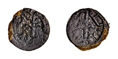 Umayyad caliphs in Dimashq, 661-750. Fals, Tiberias after 696 Trees Islamic