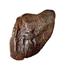 Rashidun Pseudo-Byzantine AE Fals Constans II Type E Authentic Coin Emperor Typ