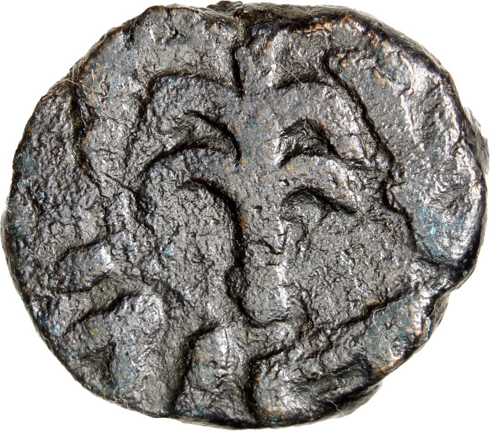 Umayyad Caliphate AE Fals Tree Album A161 Rare Authentic Ancient Islamic Coin