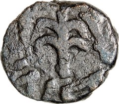 Umayyad Caliphate AE Fals Tree Album A161 Rare Authentic Ancient Islamic Coin