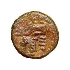 Umayyad Fals al Walid Lion Type 16 Qirat Authentic Early Islamic Coin Medieval
