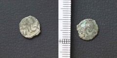 *Mamluk Sultanate? Coin, Ancient Islamic Roman Greek Turkey Egypt[E9032]7q2