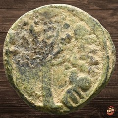 RARE Umayyad Caliphate fals coin – FRUIT TREE type Palestinian mint PALM ^C941