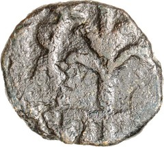 Umayyad Caliphate AE Fals Tree Album A161 Rare Authentic Ancient Islamic Coin