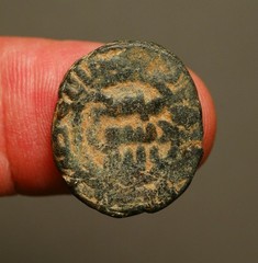 IS28-144 Umayyad, Anonymous AE fals, Halab (Aleppo mint), circa 80 to 120 AH