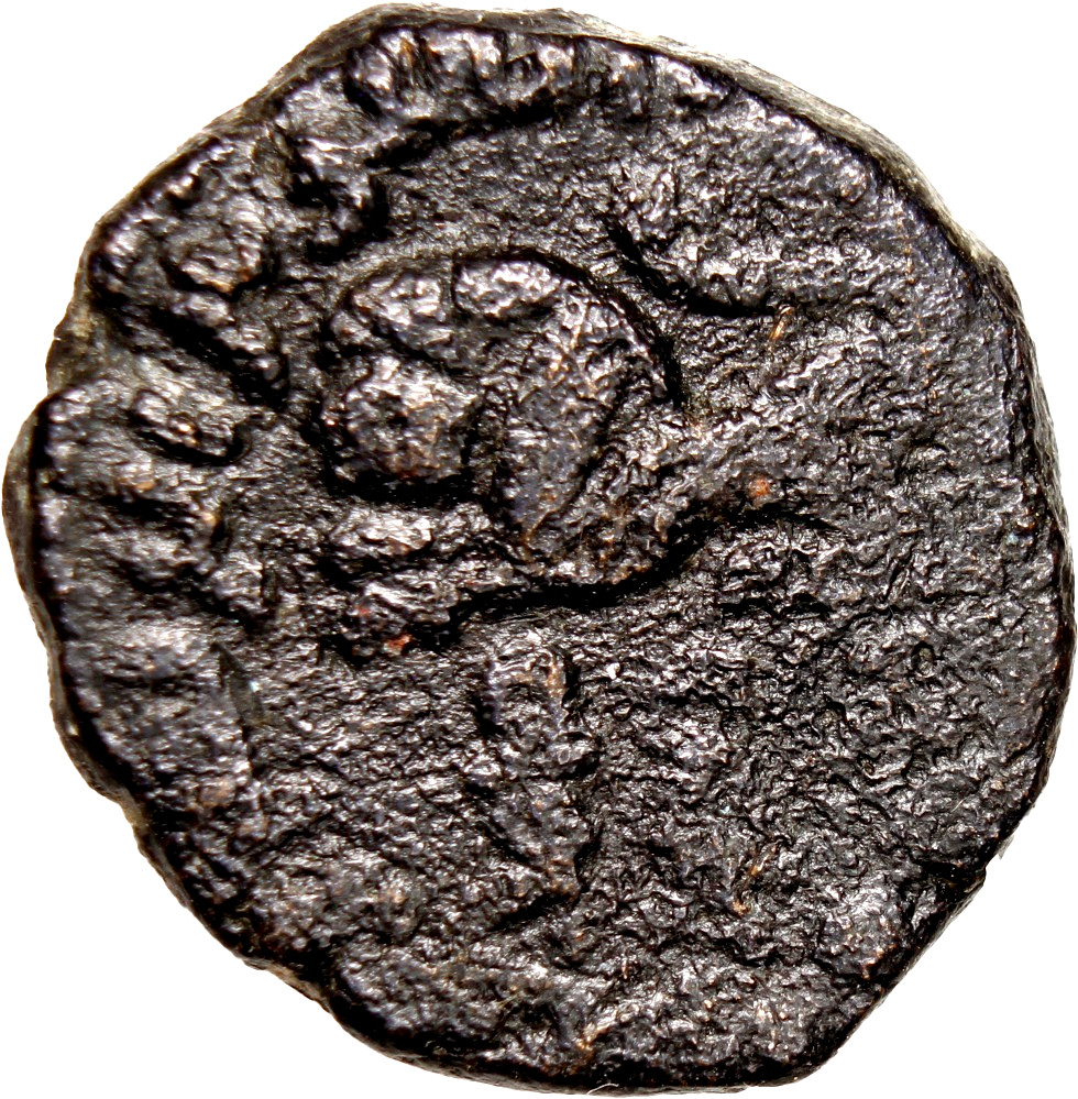 RARE Animal Pictorial Umayyad Fals Lion Type Tabariya Authentic Early Islamic
