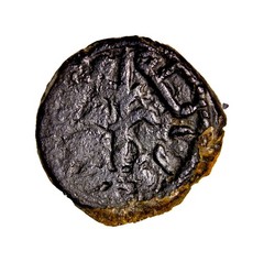 Umayyad caliphs in Dimashq, 661-750. Fals, Tiberias after 696 Trees Islamic