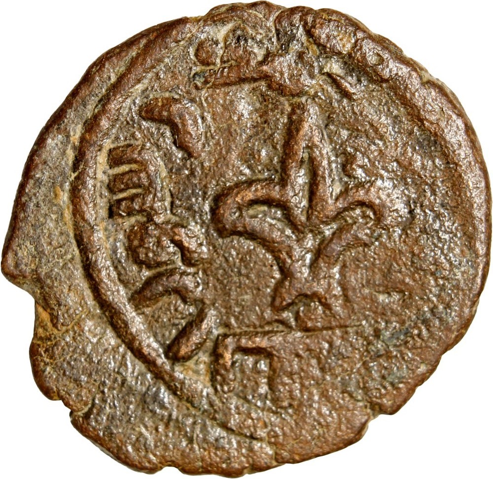 CERTIFIED Authentic Medieval Islamic Coin Umayyad Caliphate Amman Lily RARE