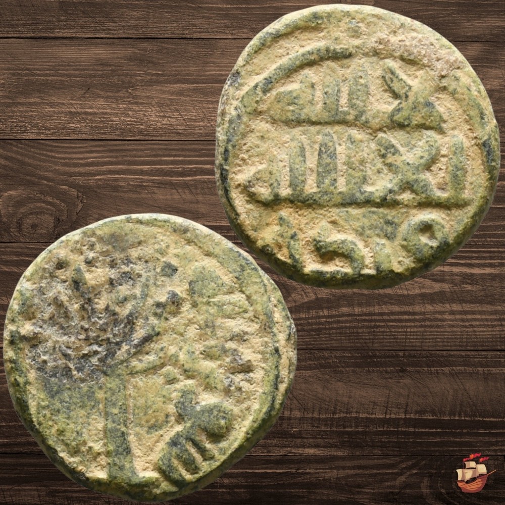 RARE Umayyad Caliphate fals coin – FRUIT TREE type Palestinian mint PALM ^C941