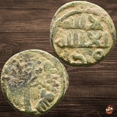RARE Umayyad Caliphate fals coin – FRUIT TREE type Palestinian mint PALM ^C941
